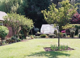 Een groene tuin zonder veel onderhoud, het kan! tuin