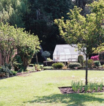 Een groene tuin zonder veel onderhoud, het kan! tuin